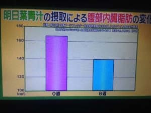 林修の今でしょ講座 明日葉