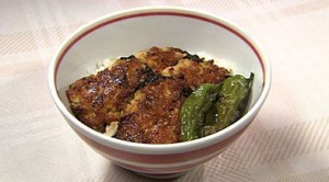 北斗晶 木綿豆腐 蒲焼き丼