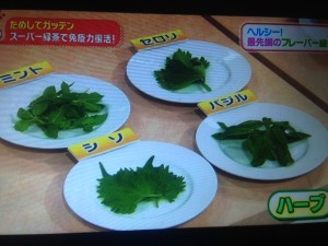 ためしてガッテン 緑茶