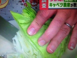 バイキング キャベツ レシピ