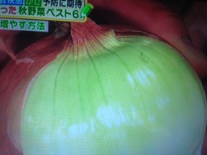 林修の今でしょ講座 最強野菜