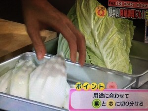 あさイチ スゴ技Q 白菜