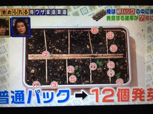 得する人損する人 家庭菜園