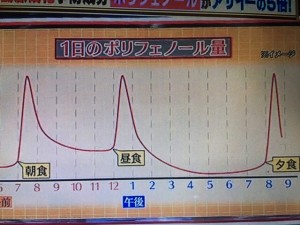 バイキング マキベリー