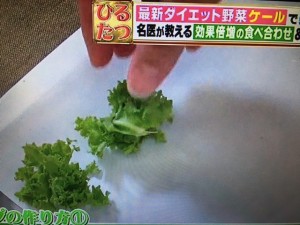 バイキング ケール