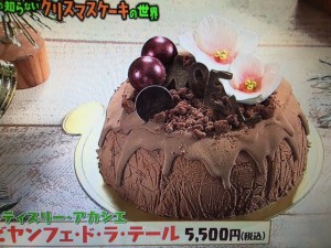 マツコの知らない世界 クリスマスケーキ