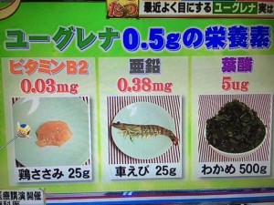 バイキング ユーグレナ