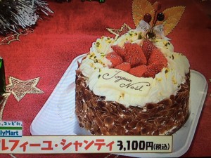 マツコの知らない世界 クリスマスケーキ