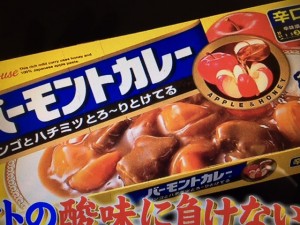 この差って何ですか? カレー