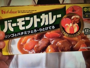 この差って何ですか? カレー