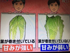 あさチャン 白菜レシピ