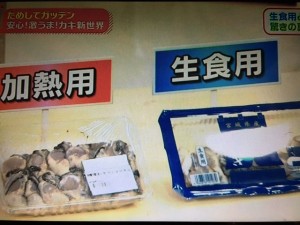 ためしてガッテン 牡蠣