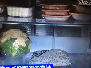 林修の今でしょ講座 冷凍庫学