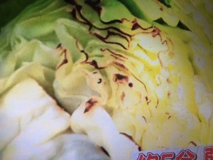 この差って何ですか?春キャベツ レシピ