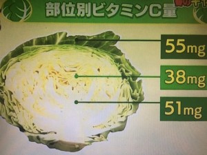 あさイチ キャベツ