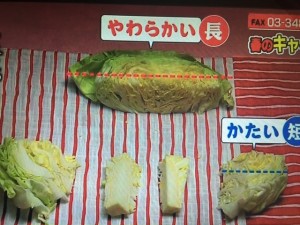 あさイチ キャベツ