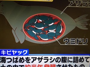 林修の今でしょ講座 発酵食品