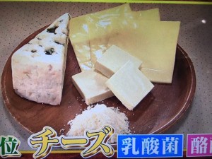 林修の今でしょ講座 発酵食品