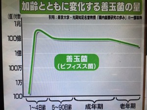 林修の今でしょ講座 発酵食品