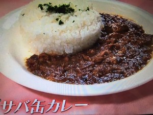 あのニュースで得する人損する人 サバ缶カレー