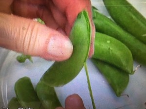 きょうの料理ビギナーズ 高野豆腐の含め煮