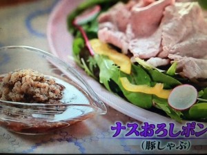 ガッテン 大根おろし