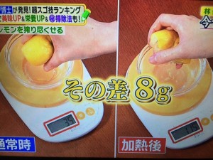 林修の今でしょ講座 電子レンジ