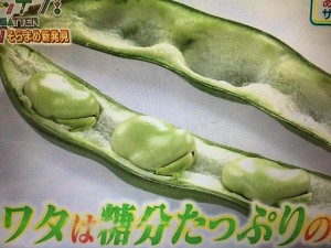 ガッテン そらまめ