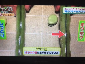 ガッテン そらまめ