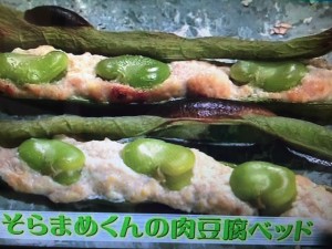 ガッテン そらまめ