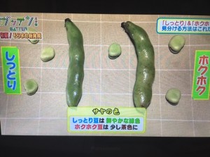 ガッテン そらまめ