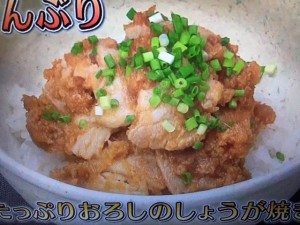 きょうの料理ビギナーズ たっぷりおろしのしょうが焼き丼