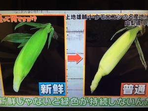 この差って何ですか?とうもろこし