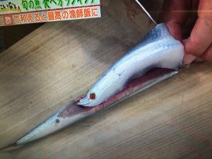 林修の今でしょ講座 棒サンマ