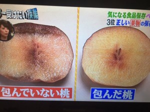 世界一受けたい授業 食品保存