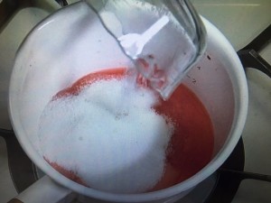 きょうの料理ビギナーズ すいかのシャーベット