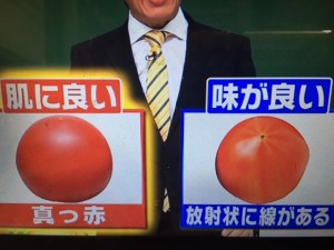 林修の今でしょ講座 夏野菜
