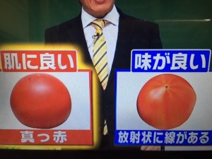 林修の今でしょ講座 夏野菜