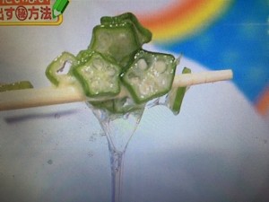 林修の今でしょ講座 夏野菜