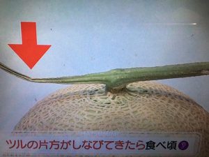 林先生が驚く初耳学 フルーツ追熟