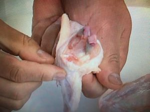 上沼恵美子のおしゃべりクッキング カブと鶏肝の煮込み