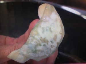 林修の今でしょ講座 餃子