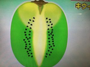 キウイ 追熟 方法
