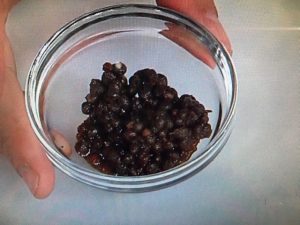 上沼恵美子のおしゃべりクッキング こんにゃくの味噌煮込み