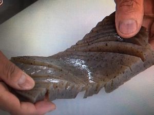 上沼恵美子のおしゃべりクッキング こんにゃくと鶏の煮込み