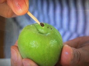 きょうの料理 カリカリ梅漬け