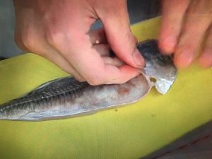 上沼恵美子のおしゃべりクッキング アジのちらし寿司