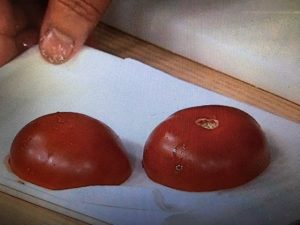 きょうの料理 ピーマンとトマトのツナマヨ詰め