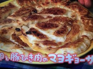 きょうの料理 ゆで卵と豚ひき肉のマヨギョーザ