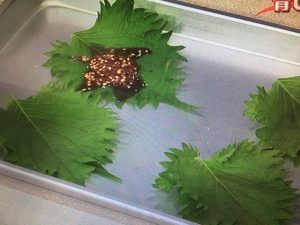 3分クッキング 青じそのキムチ
